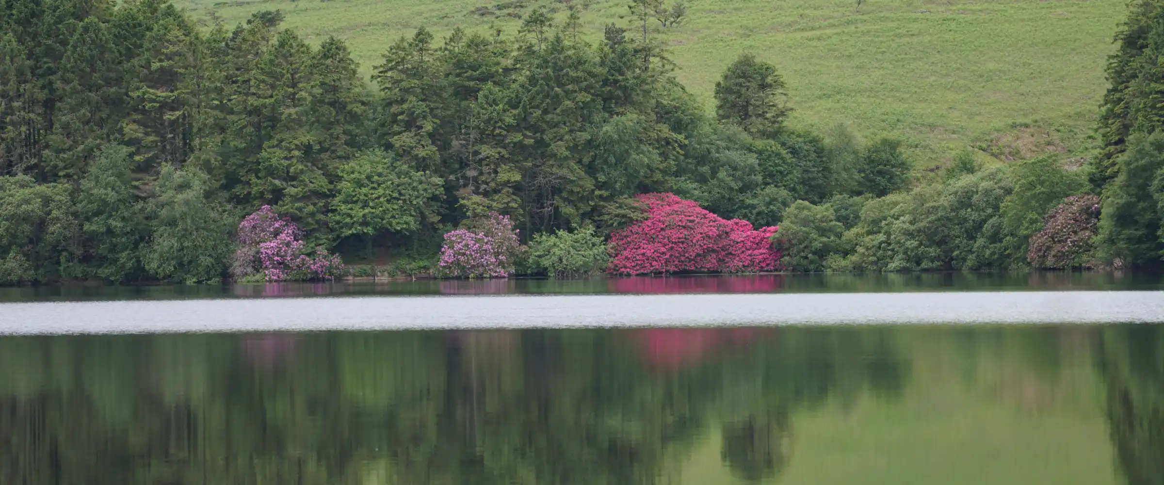 Devon Lake at dusk