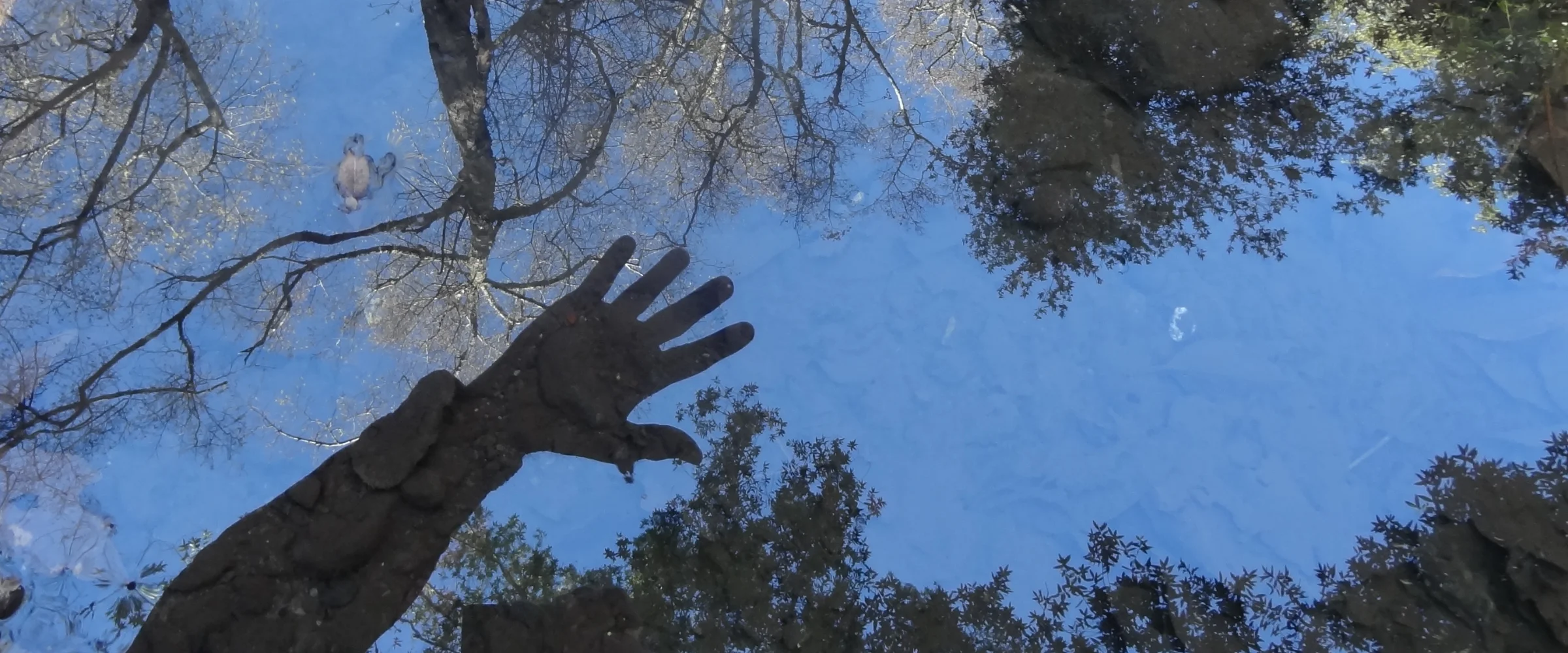 A hand reaching over flowing water