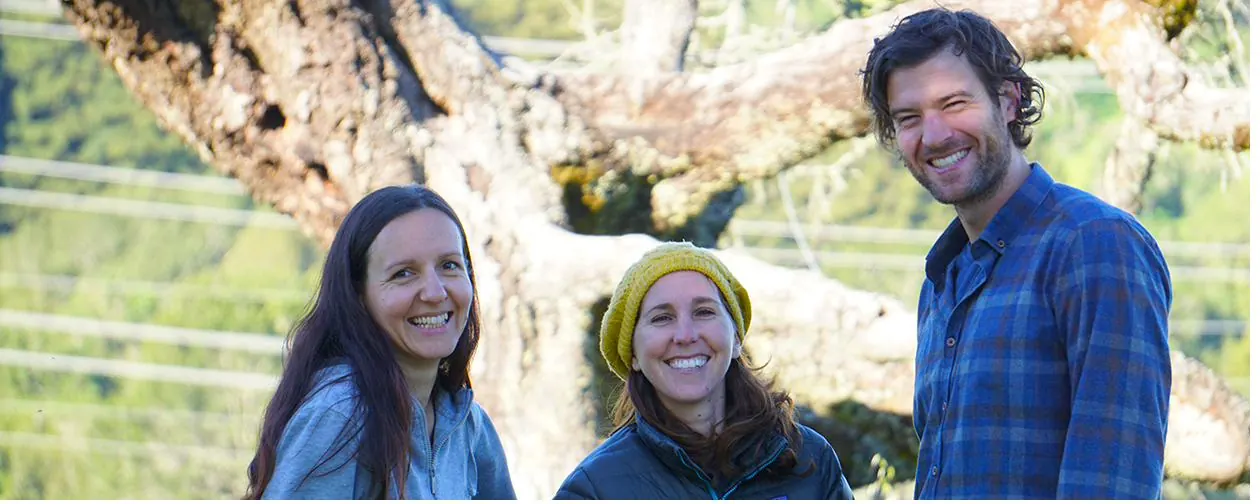 Three colleagues walking together outdoors