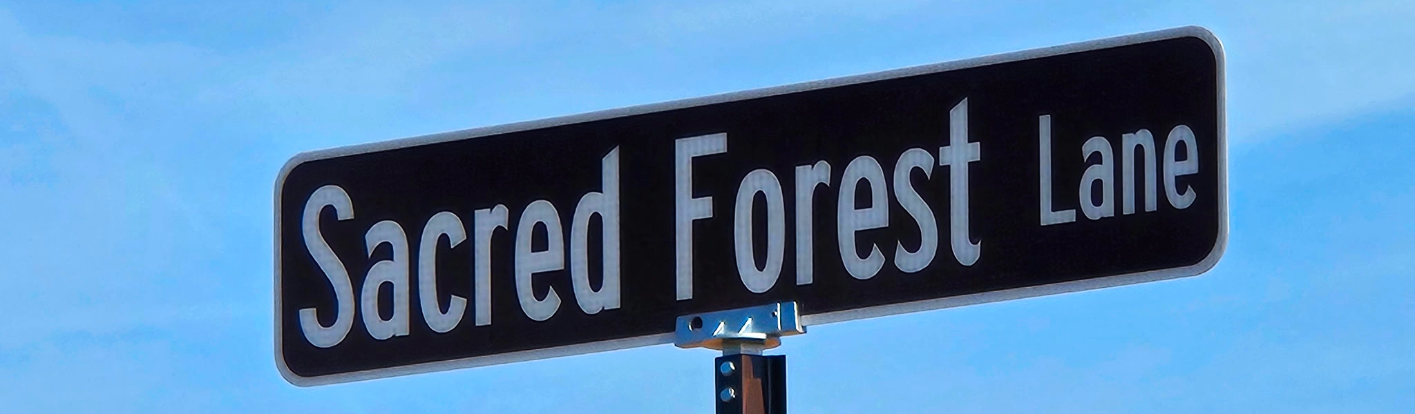 A trail signpost pointing the way