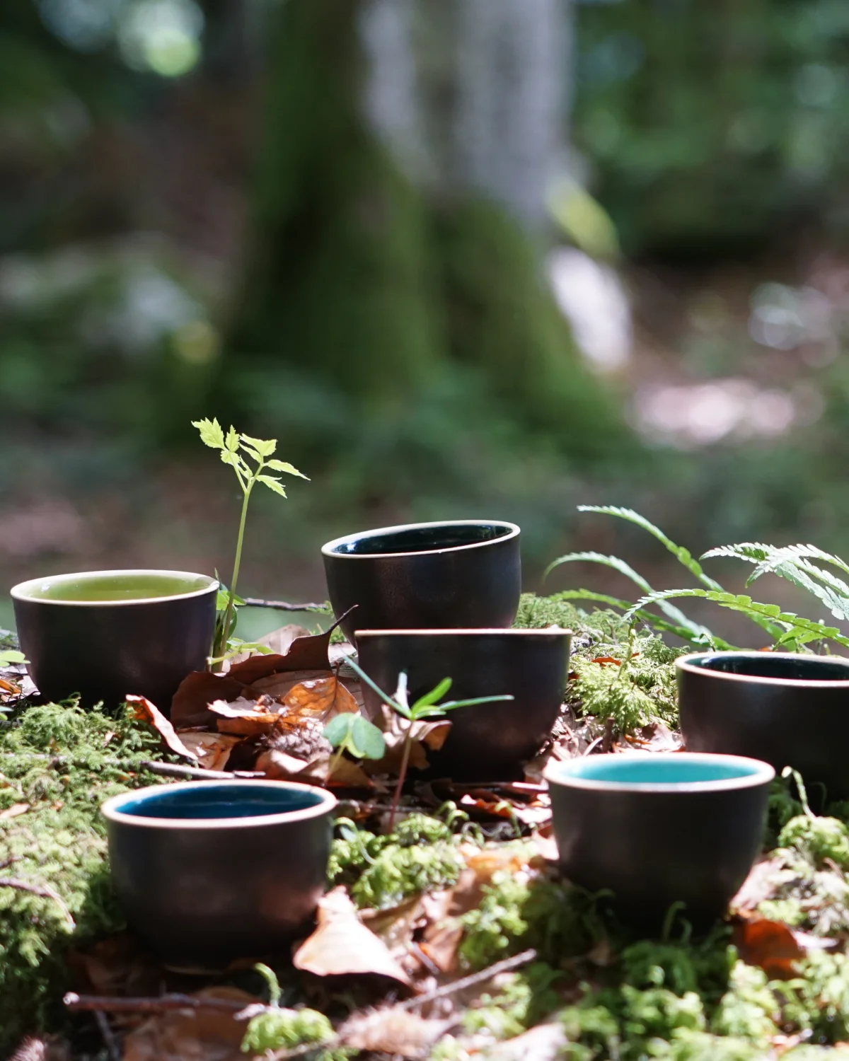 Nature as medicine for clinicians
