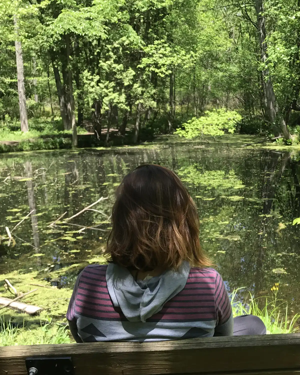 A certified forest therapy trail